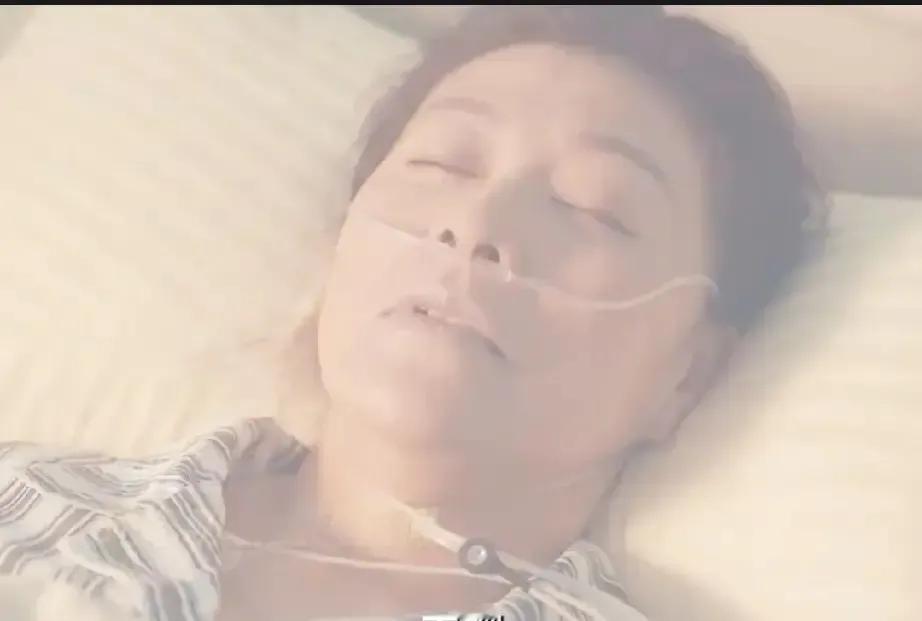 沈明珠盯着婆婆那只被供起来的“传家宝”玉镯，越看越眼熟，直到在老公小三手腕上看见