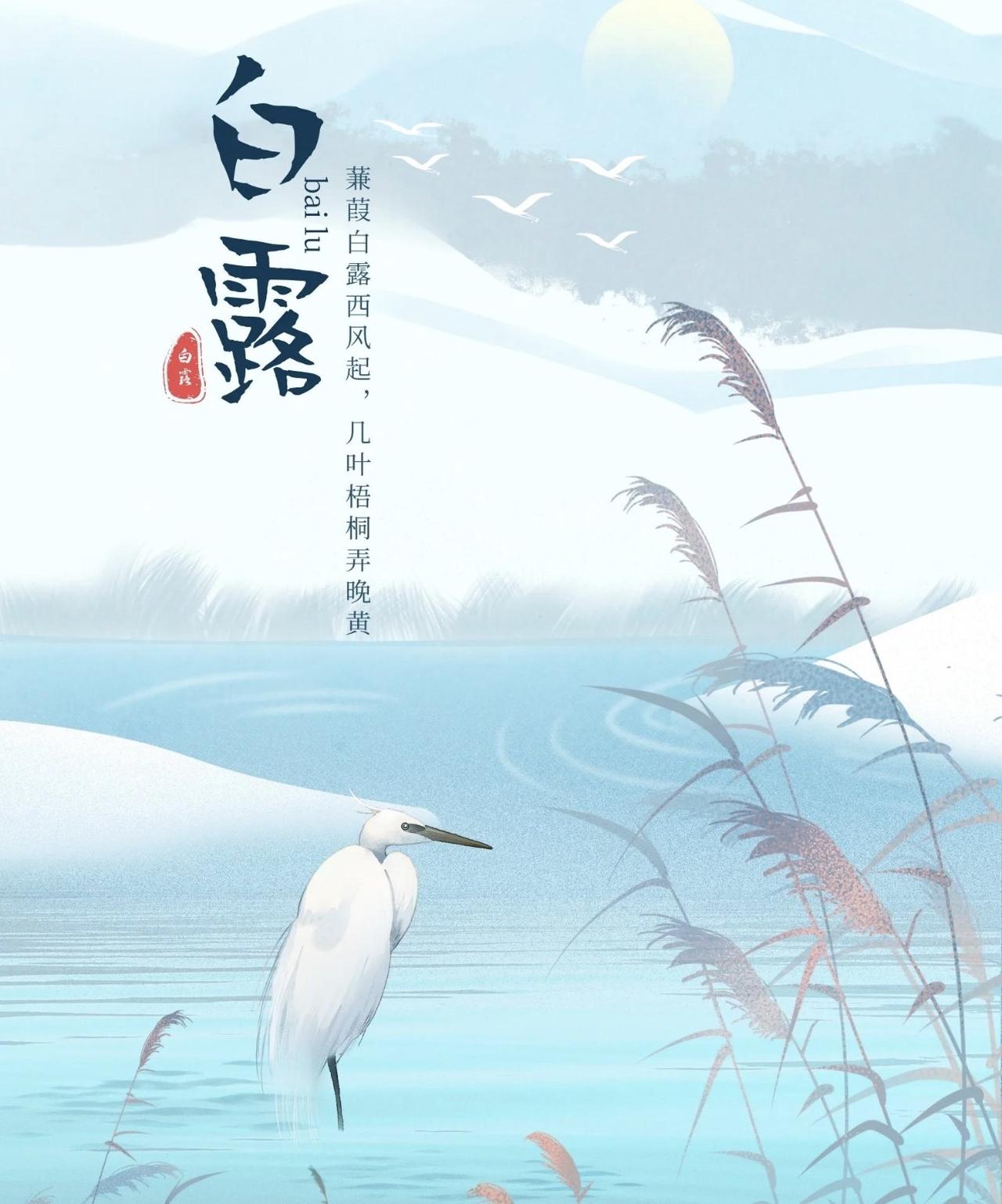 今日白露季节了，我奶奶活着的时候，一到白露，嘴就不停。总念叨白露身不露，