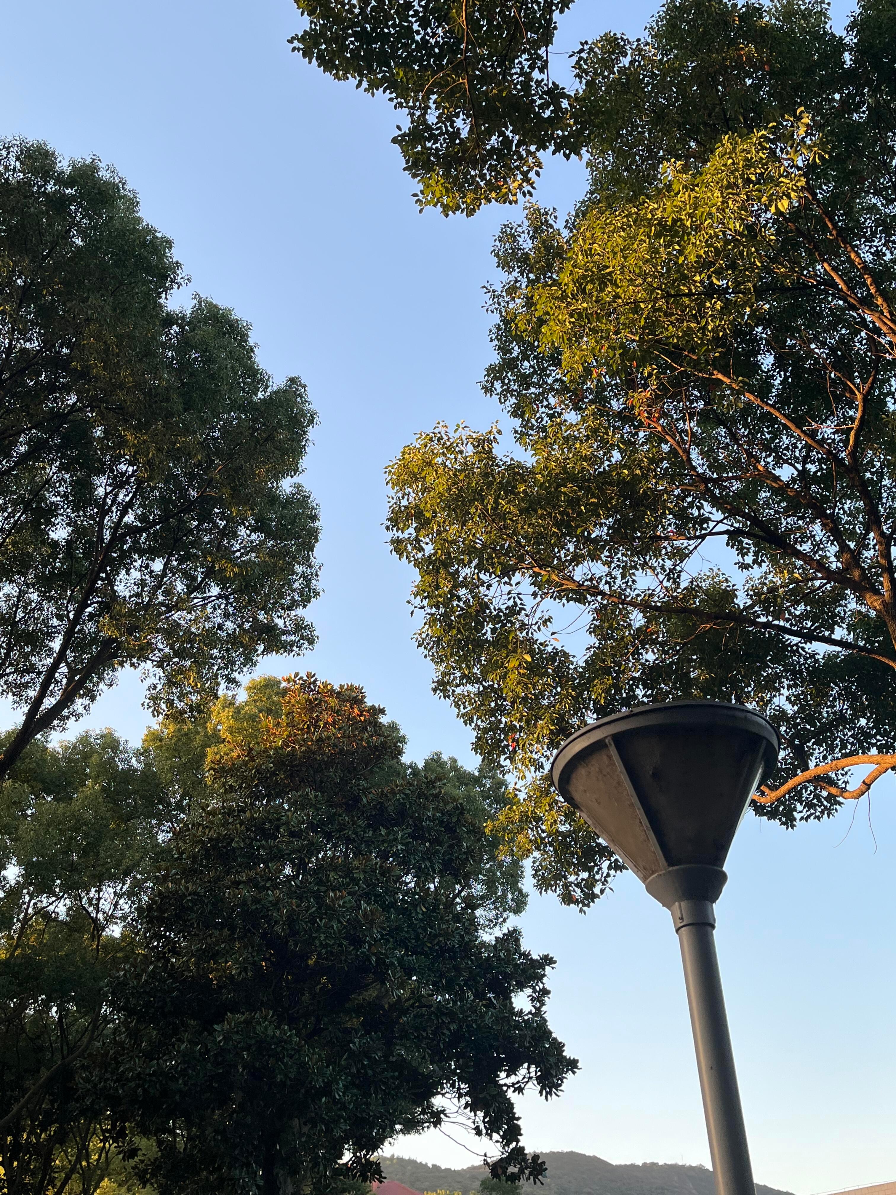 被大学日常治愈的N个瞬间原来大学的浪漫，藏在每一个抬头和转身里谁懂啊！上了大学才