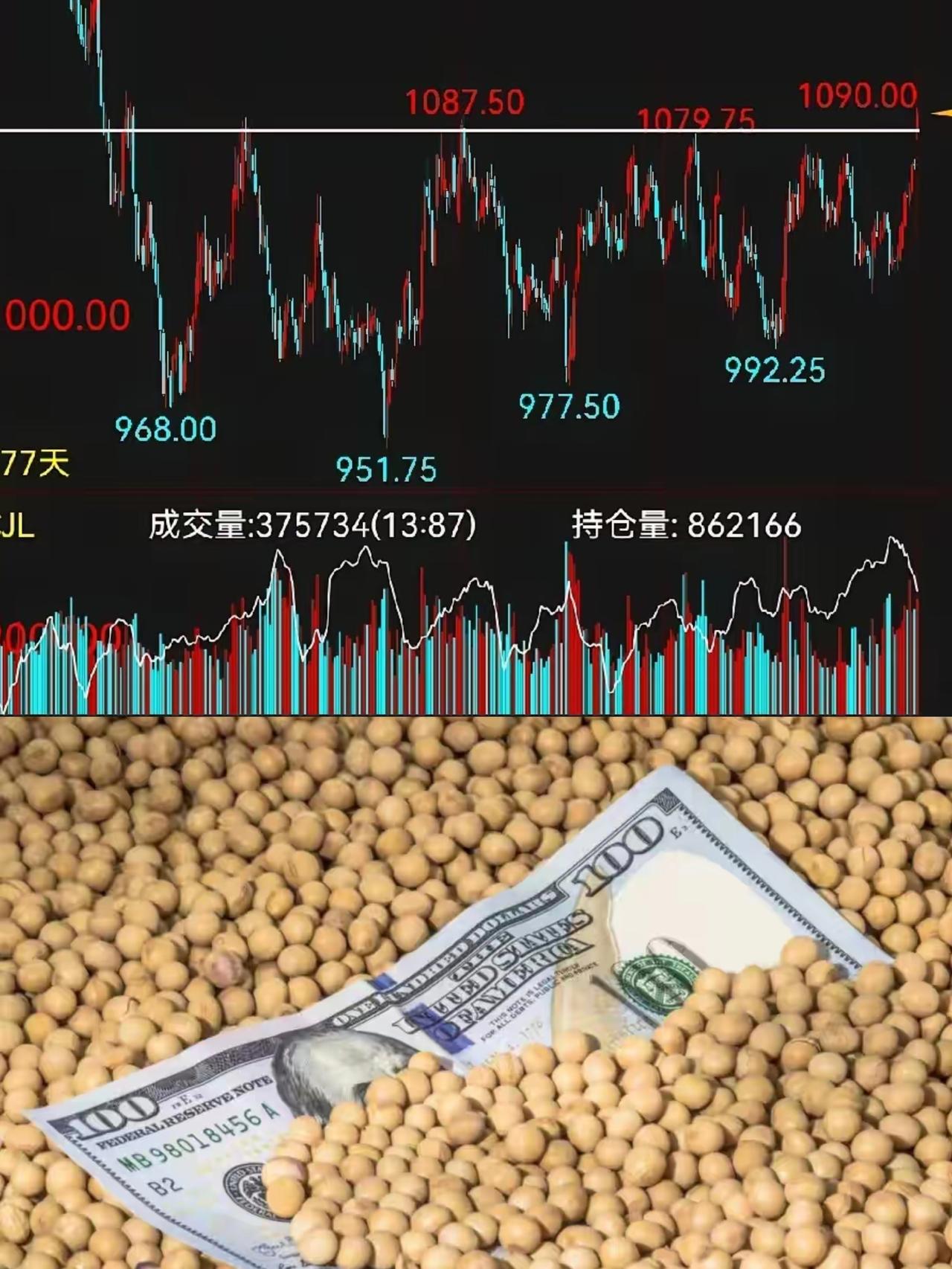 美国财政部长贝森特表示，中美就购买大豆达成了一致！华尔街立马把美豆价格拉了上去，