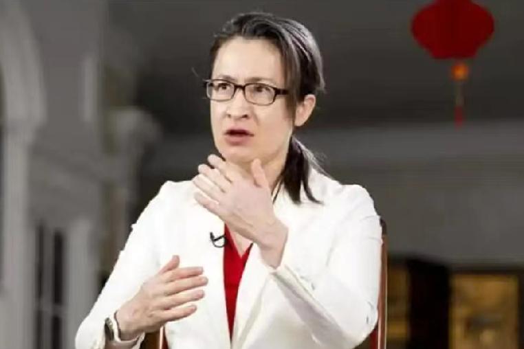 1月14日，萧美琴对媒体说:“新年以来，大陆官员一直向欧洲国家提供法律建议，称各