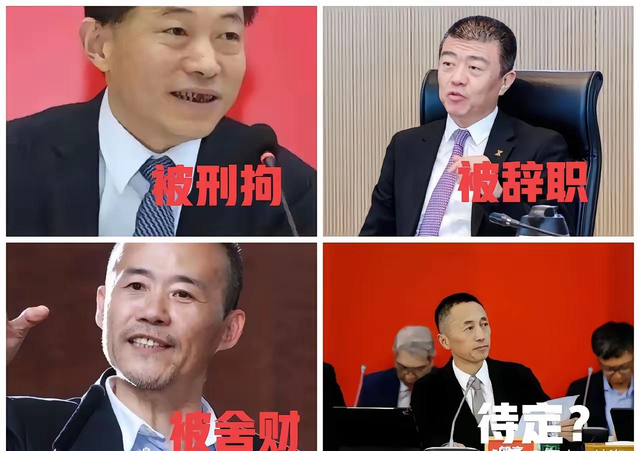 万科的这帮管理层，吃相太难看，现在就是拉清单的时候了。房地产繁荣的时候，掩盖了