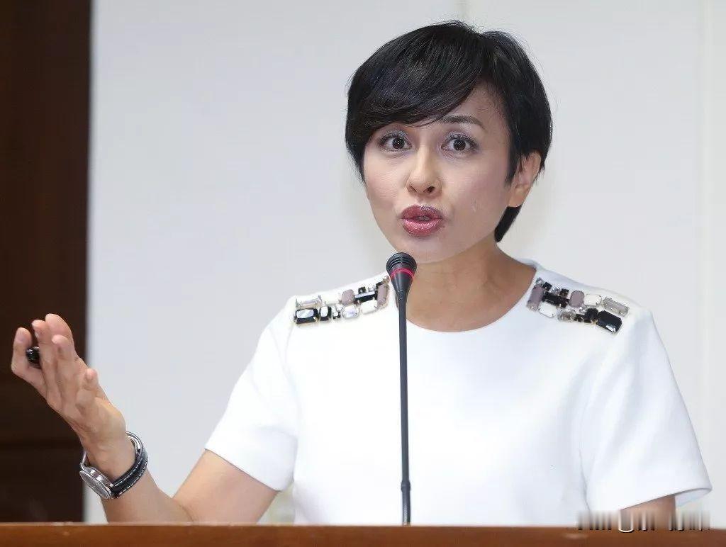 台湾民进党民代的做法真是让人大跌眼镜！台湾民进党民代邱议莹质疑台北市长蒋万安