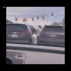 车外的这个人，以为自己很厉害，把手伸进了车里，车内人确实害怕了，抱头鼠窜，开车就