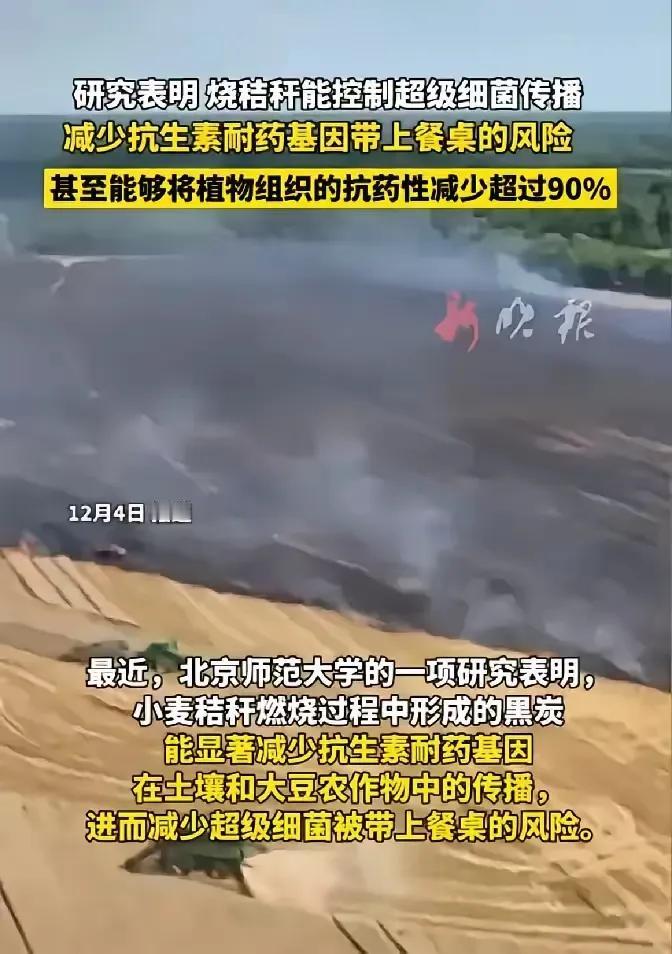 一个出自日本的提案，硬生生把我们的农业带偏多年！明摆着是敌人的阴谋陷阱，为何至今