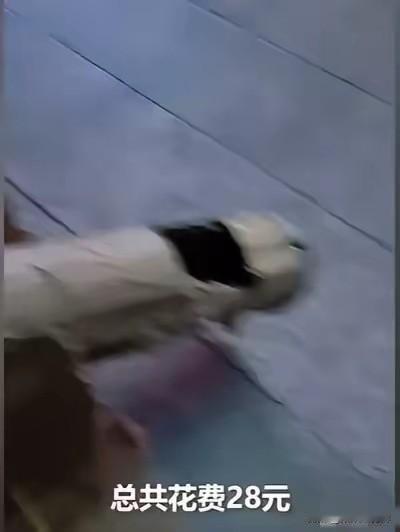 强到上人民日报！太惊艳了，10岁三年级小学生，居然用28元，手搓成功一副望远镜，