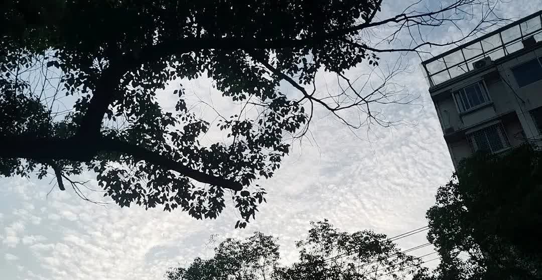 想快速拿到小车驾驶证。这些考驾照中的小秘密，你们一定要明白今天就把这