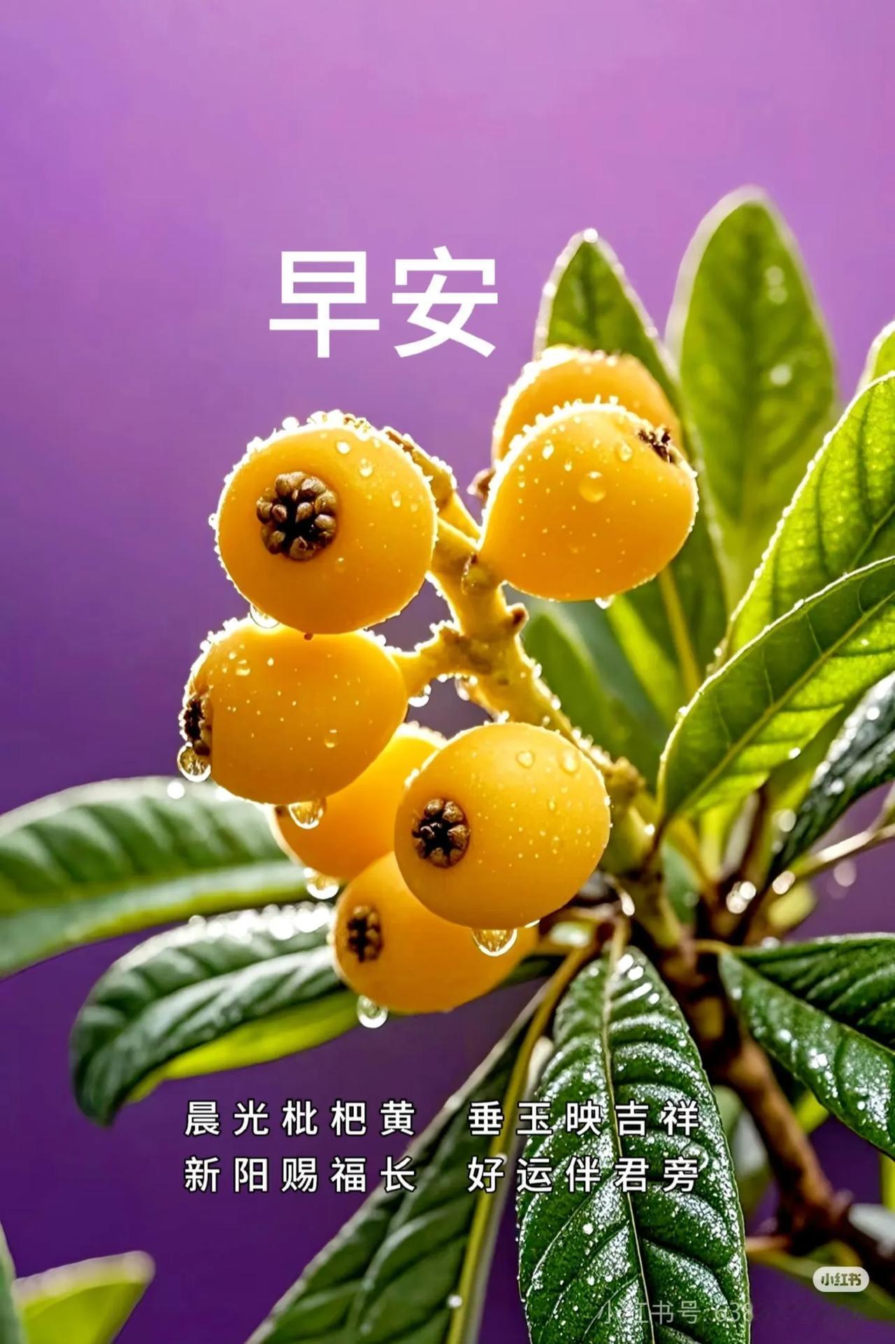 富人吃青菜那叫养生，穷人吃青菜那叫寒酸。蔬菜养生知识绿叶青菜穷人健康中老年