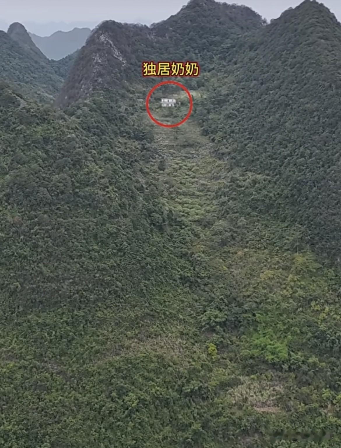 山顶之上的独居奶奶，自给自足过着与世无争的生活。可怜的奶奶，独自住在山顶上，
