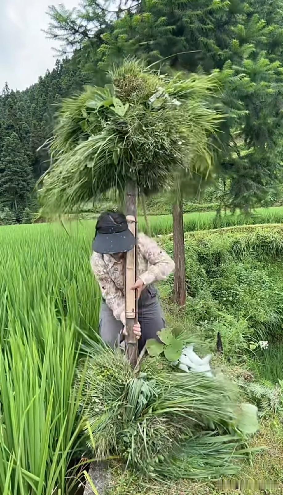 干什么工作都不容易