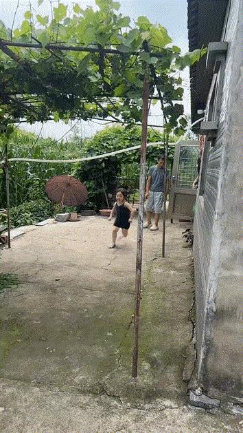 哈哈，这大鹅还挺有“原则”的，把人撵出去就收队～