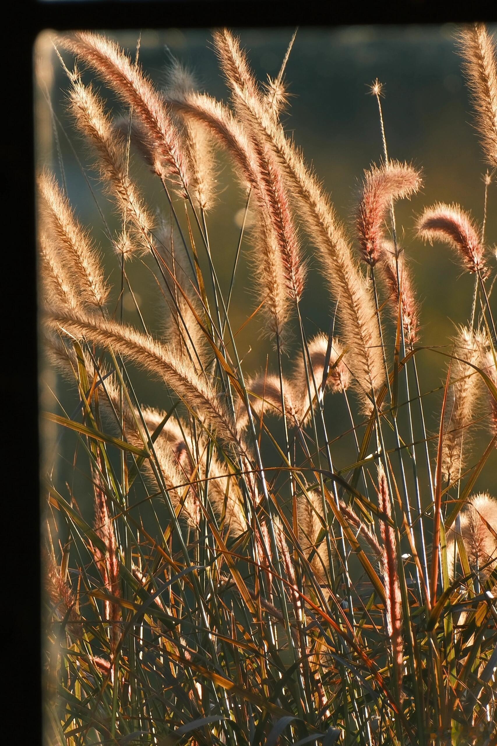人不试，不知深浅；不相处，不知好坏。时间最终会为你筛选人心，也让你看清人性。它斩