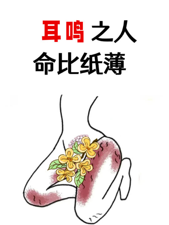 二十年前，我于中医院进修之际，有幸结识一位退休的耳鼻喉科老主任。彼时...