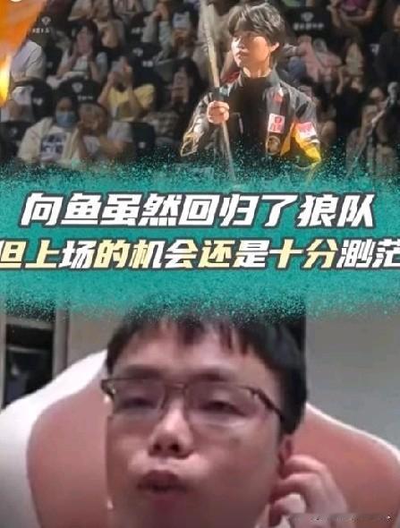 向鱼回归2025年KPL夏季转会期他以租借形式回归老东家重庆狼队一事，租期为整