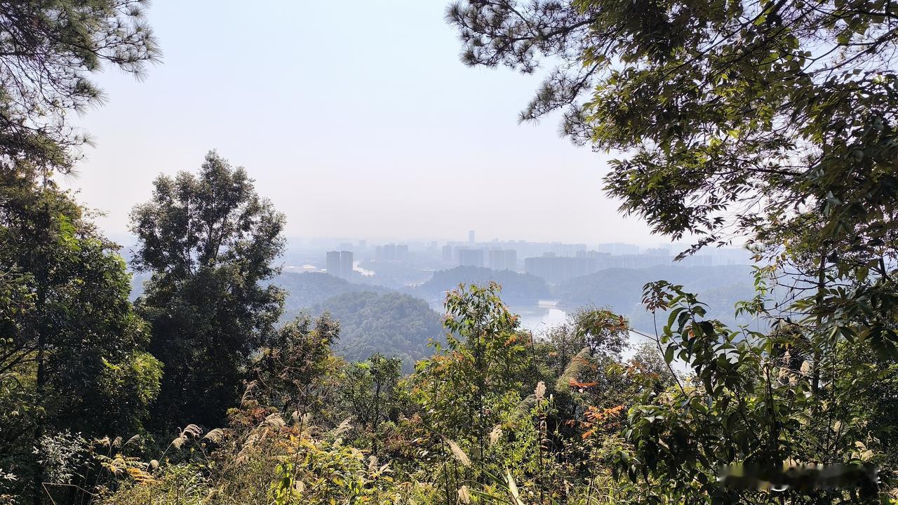 现在去户外爬山的人真的越来越多了，尤其是周末的时候都会选择到城市周边游，你知道为