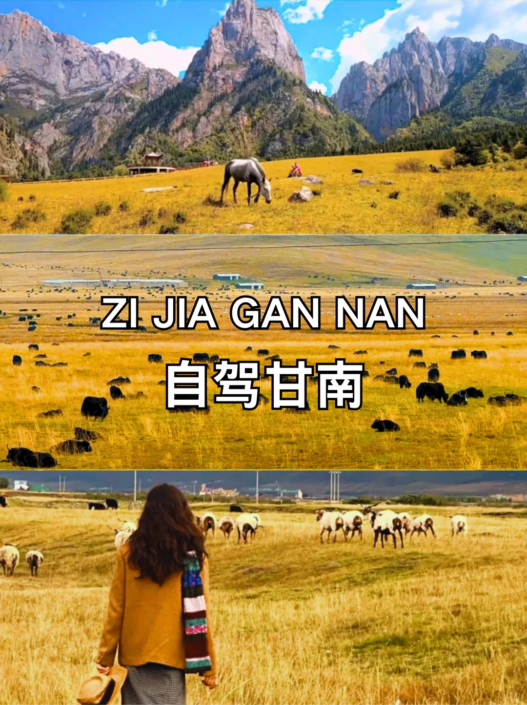 国庆反季游西安出发5天自驾甘南｜避开人潮