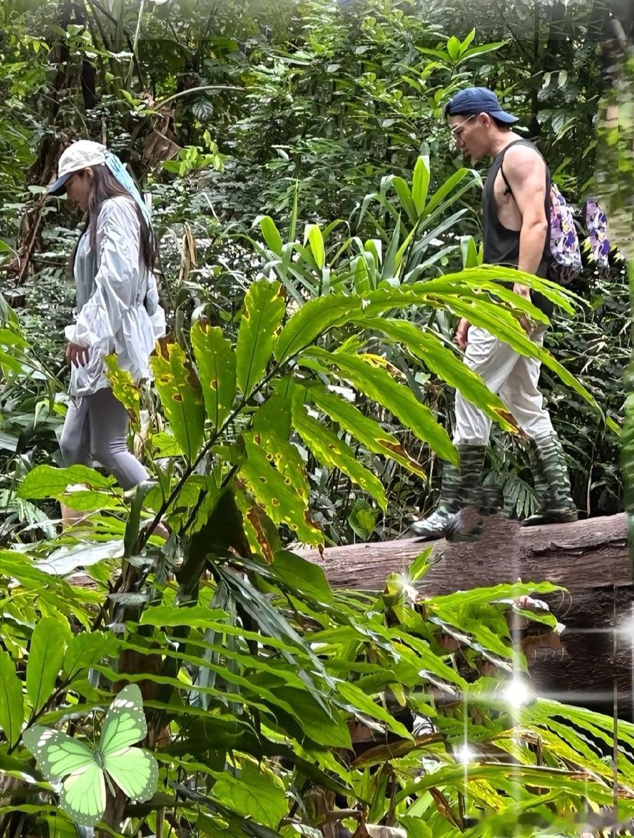 张馨予老公手臂肌肉线条何捷手臂肌肉线条偶遇张馨予夫妇徒步，何捷手臂肌肉线条抢镜