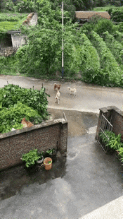 有朋友的地方就有江湖。