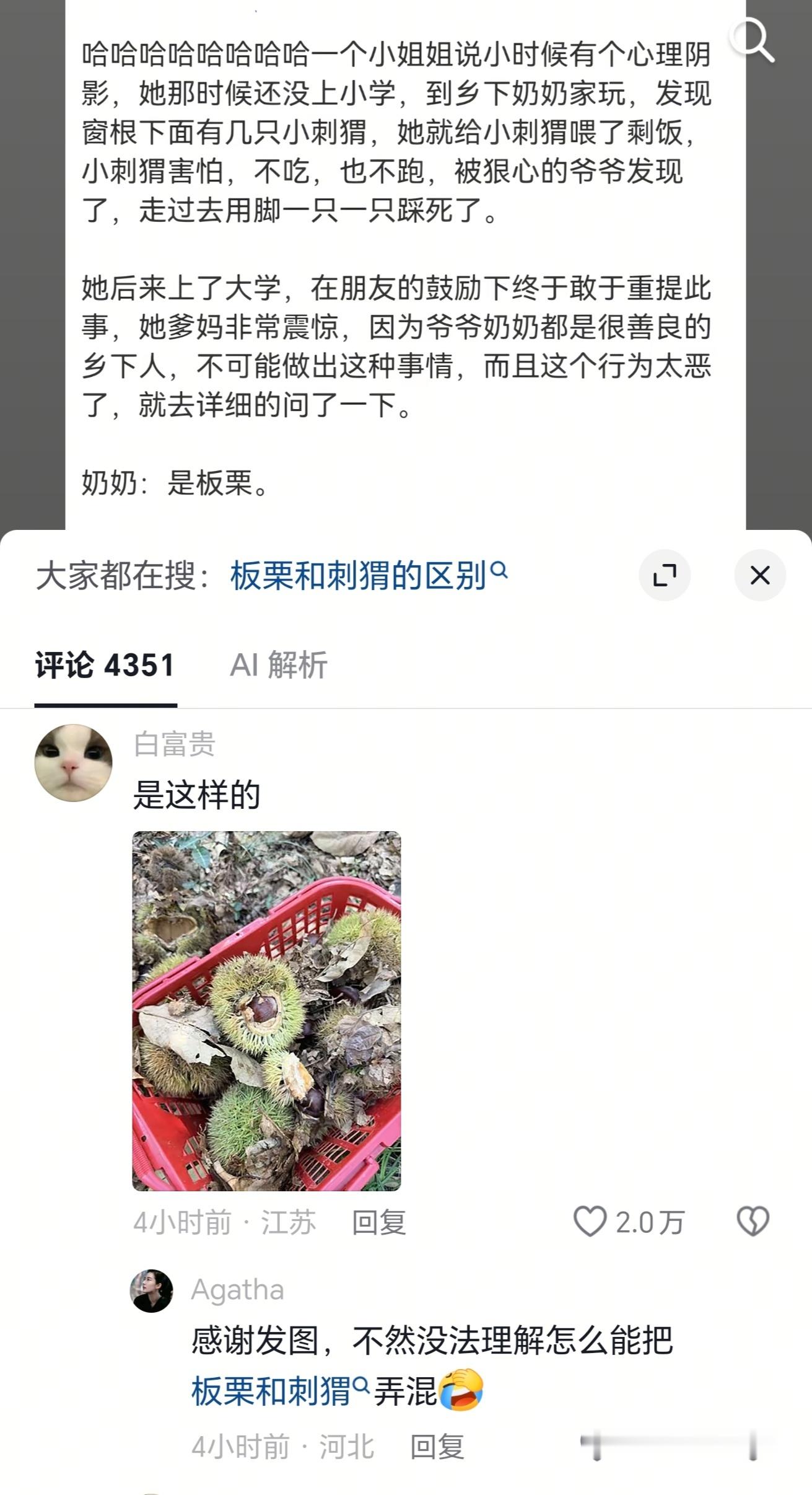 刚想说板栗和刺猬也不像啊，直到我看到了评论区的图​​​