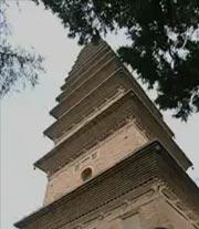1986年9月，山西省永济市普救寺在进行修复工程时，突然一名工人竟然听到了一阵阵