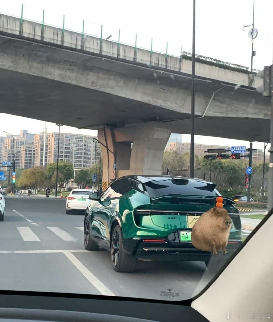 这车看着好牛，是啥牌子啊？​​​