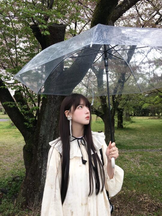 岚山的樱花尾巴