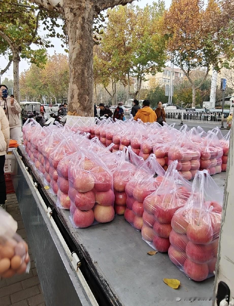 这就是被央视点名的“苹果大哥”！一车红彤彤的苹果堆得跟小山似的，个个裹着透亮