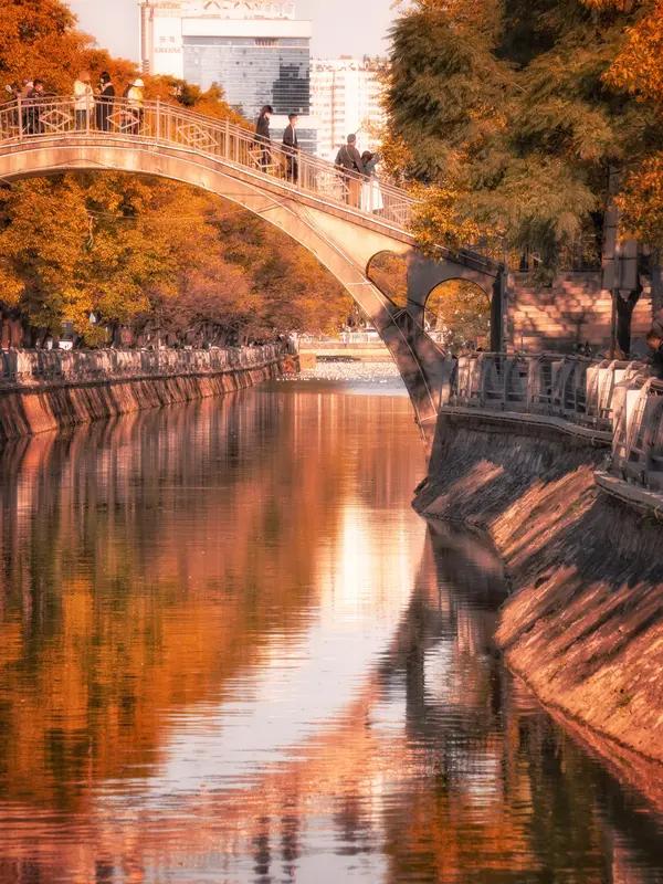 《银杏秋梦图》本就诗意满满，“羽扇轻摇秋色黄，霓裳为衣戏严霜。可怜一夜秋风起，玉