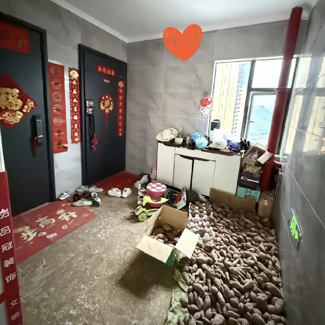 今天我去同事家，刚出电梯就傻眼了。她家门口全是纸箱家具，堆得比人都高，走道都快堵