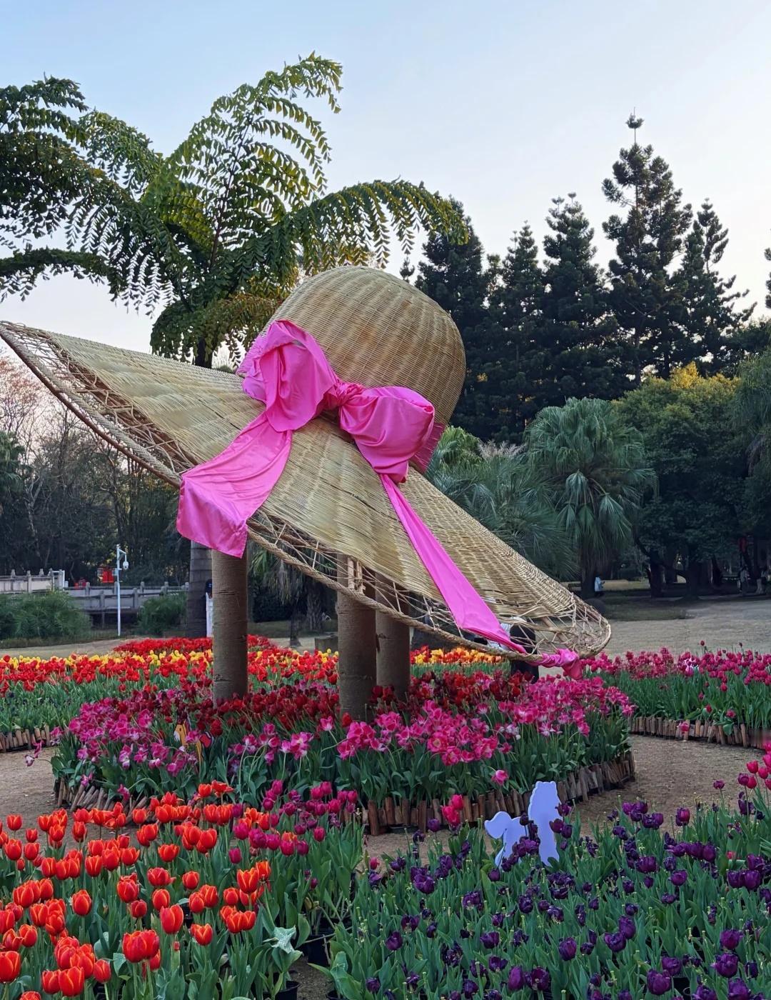 福州森林公园｜春日吸氧天花板🌿不用出城，就能拥抱整片绿意千年榕树王、樱花、