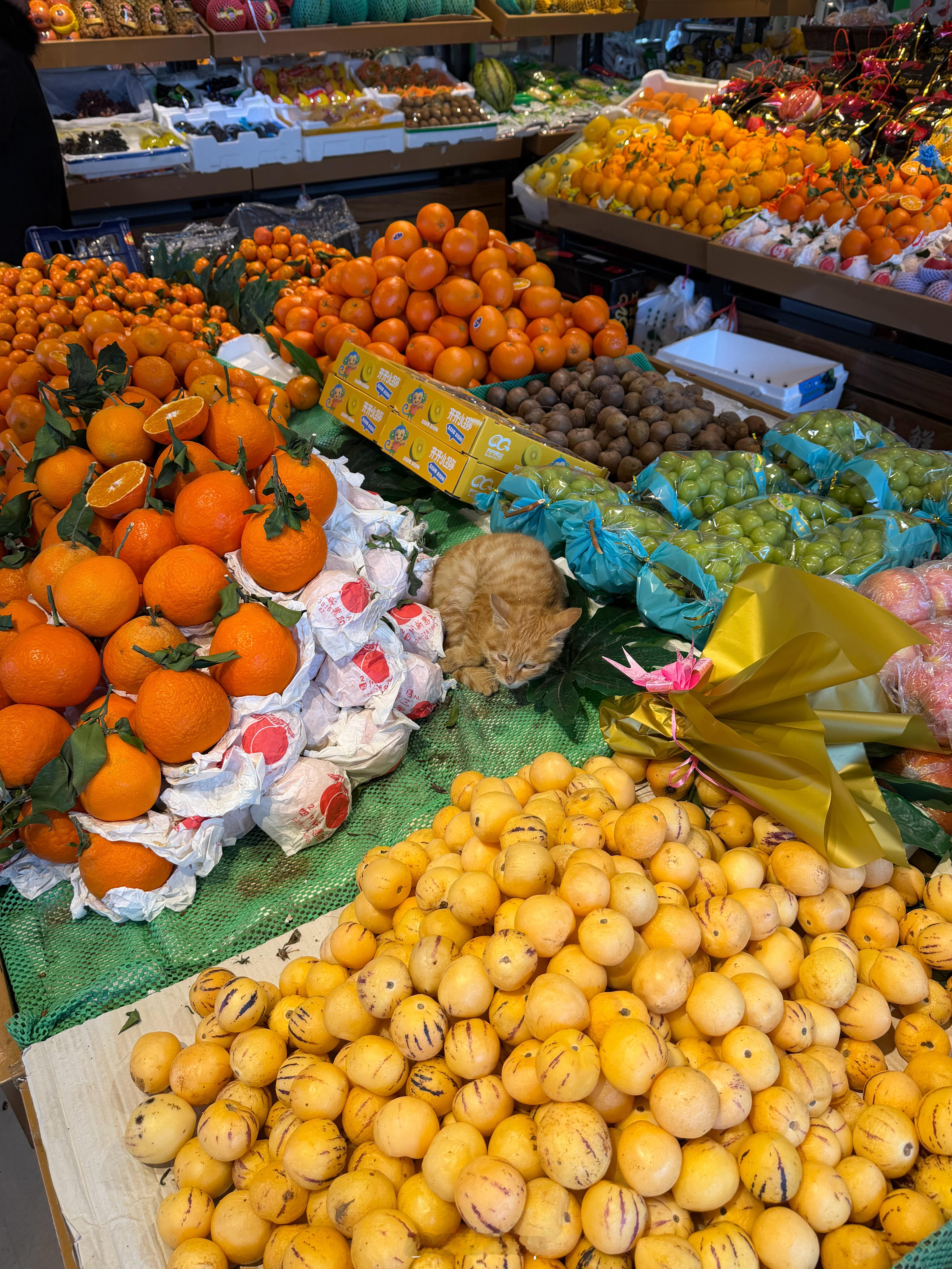 来买点水果，这个大橘卖不卖？