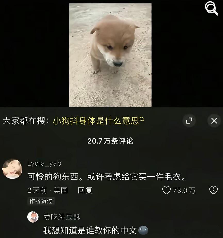 到底是谁教她的中文