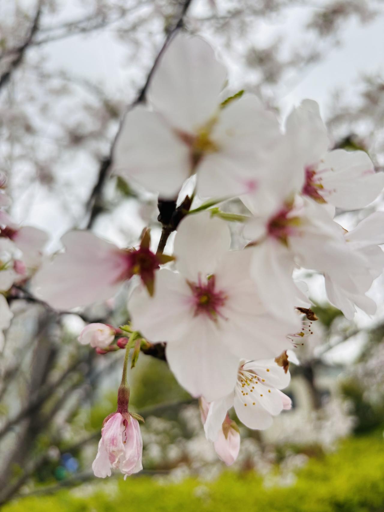 在儿子还小的时候，妈妈就教育儿子要与读书好，能干的人做朋友。儿子长大了，妈妈