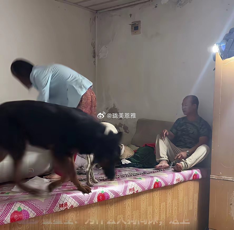 人狗同床宠物能与人同室同床吗？