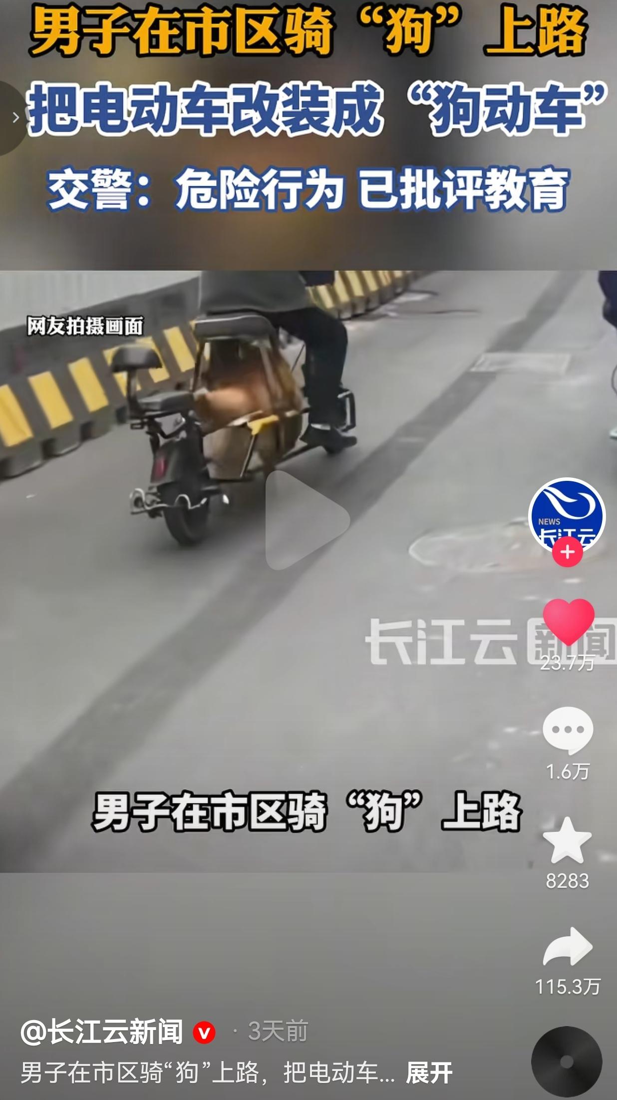离大谱！常州大爷骑“狗动车”上路，把狗绑车底当动力，交警都看傻了！真的离了