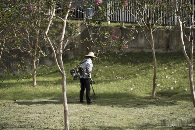 《教父》里说：“在一秒钟内看到本质的人，跟花半辈子也看不清一件事本质的人，自然是