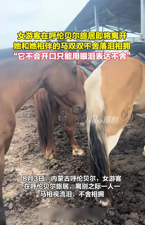 内蒙古草原上，一名女游客与陪伴多日的马儿告别。女子想到即将分别，忍不住抱着马哭了
