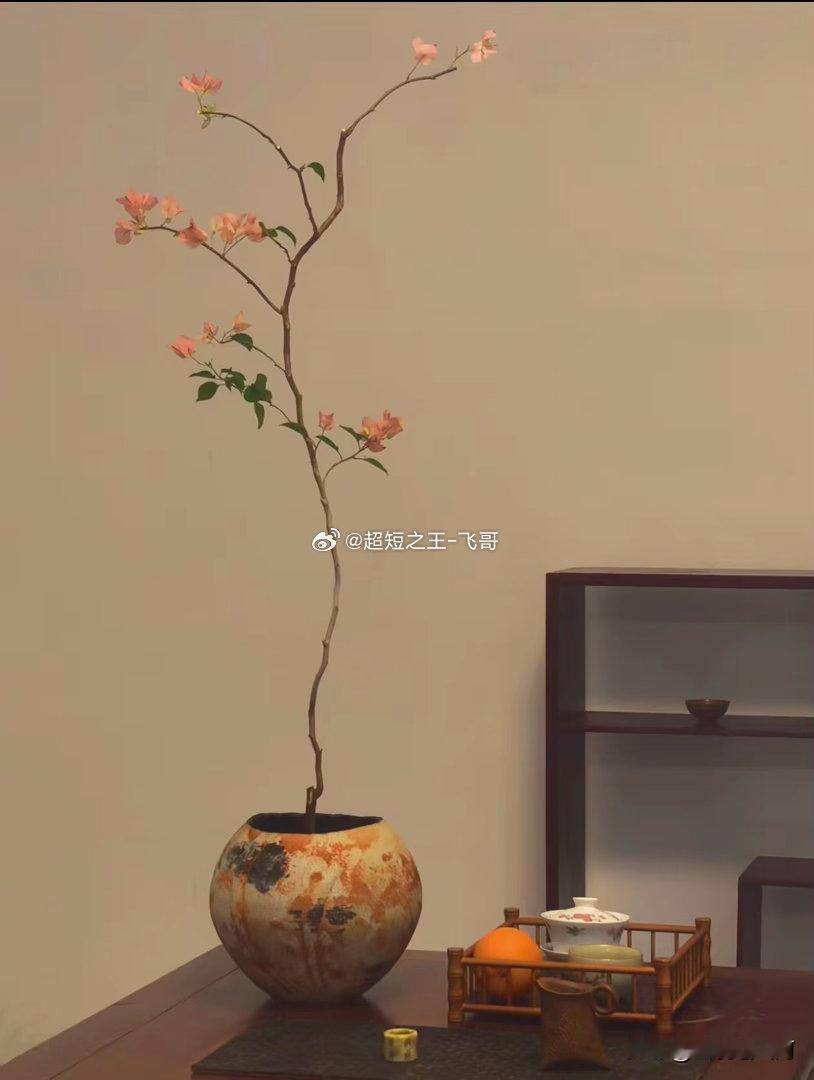 想成大事，这12句一定要刻在心里1. 别贪快慢工才能出细活，急于求成往往一事无成