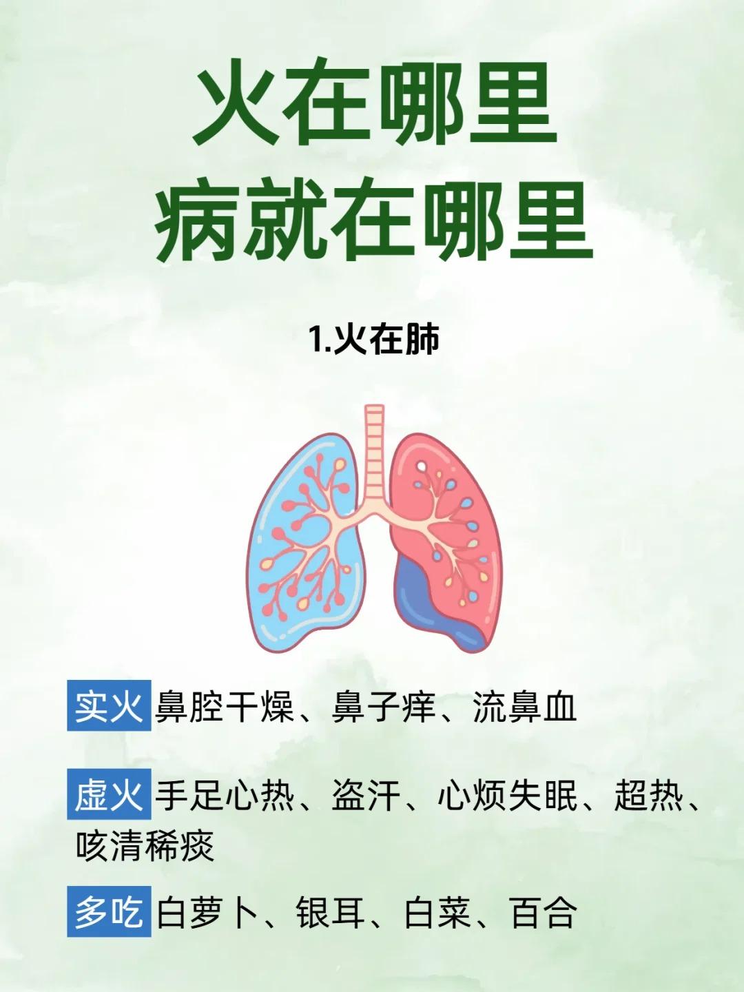 上火是五脏在求救！火在肺火在心火在肝火在胃