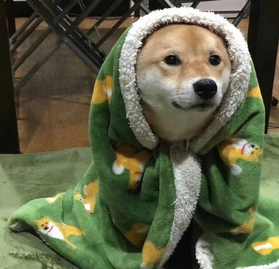 注意！强降温在路上强降温即将来袭，届时会有一夜入冬的感觉，气温将明显下降，大家