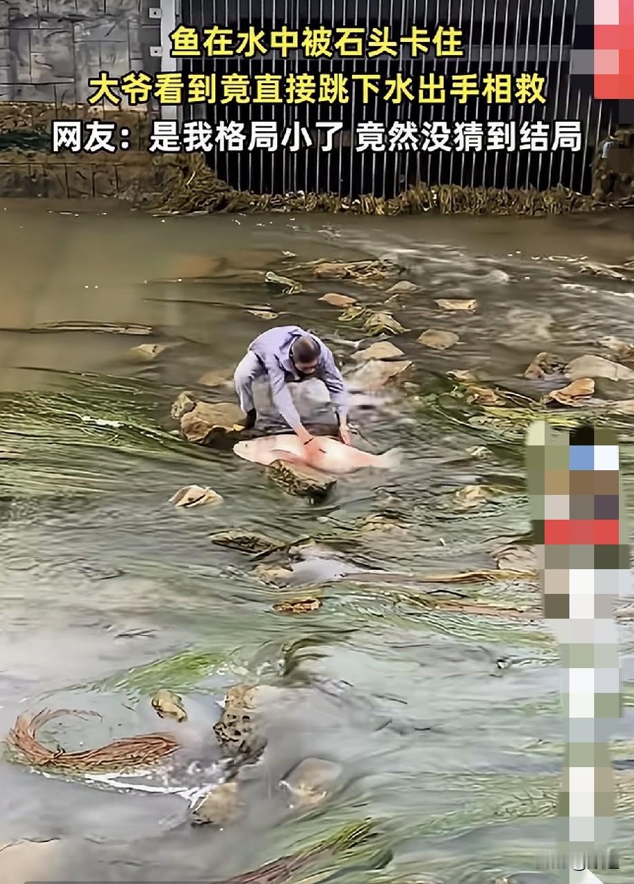 河里大水过去后，一条大鱼被石头卡住，任它怎么挣扎终究动不了身。岸上围观的人口水