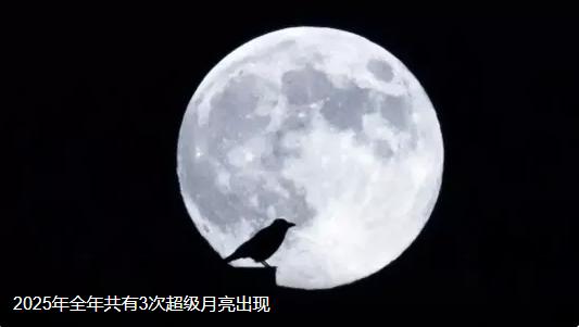 11月5日21时19分的这轮满月，可是今年离地球最近的一次“宇宙