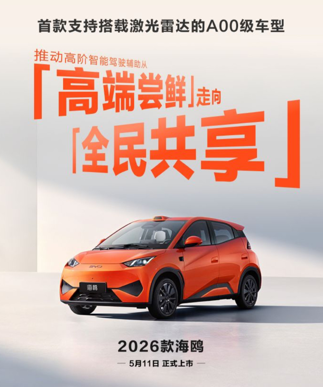 十万级，激光雷达的小车车，2026款的海鸥，11号上市。305km和405km两