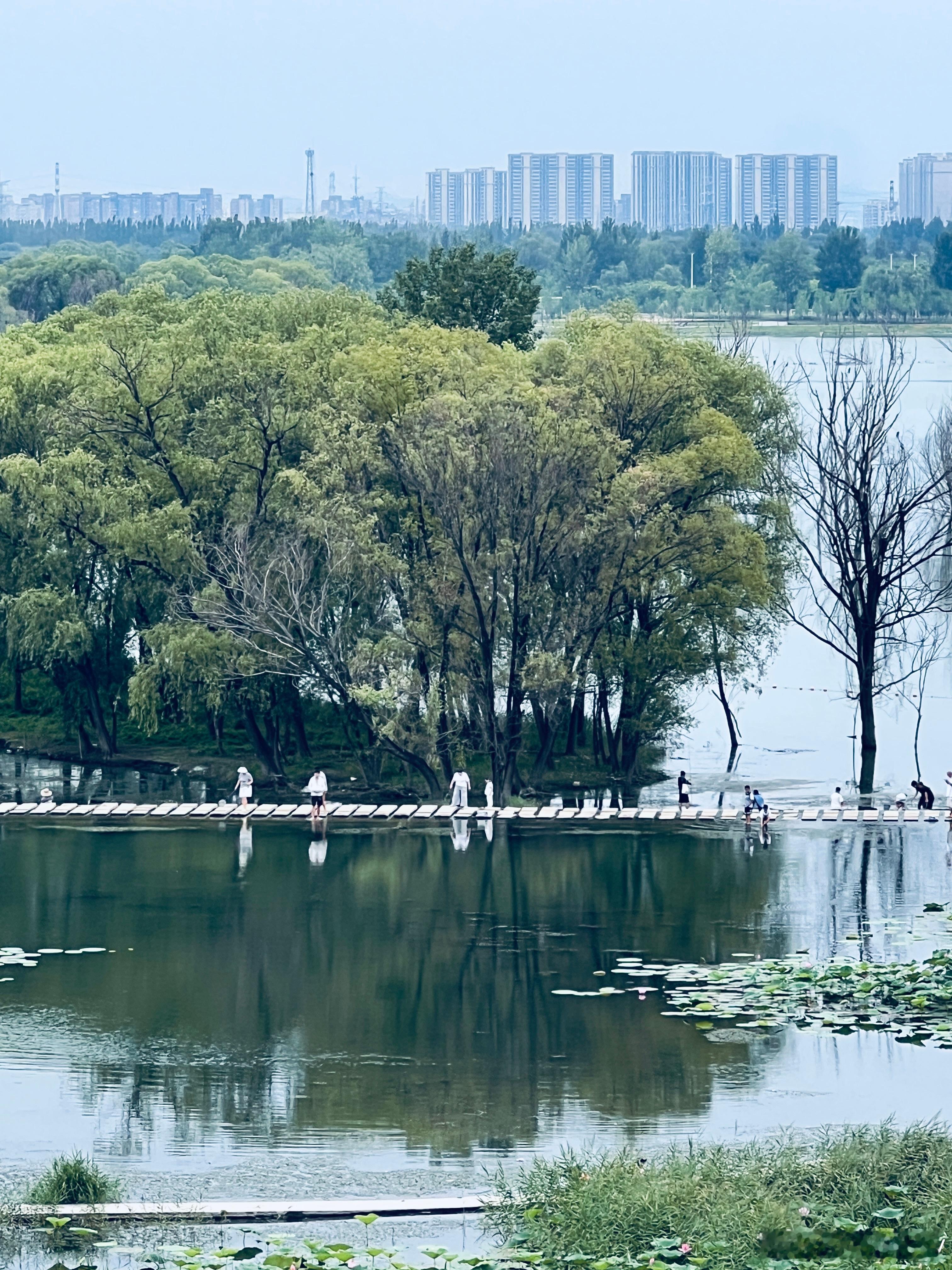 江南水乡分乡～～昌平白浮泉公园摄影
