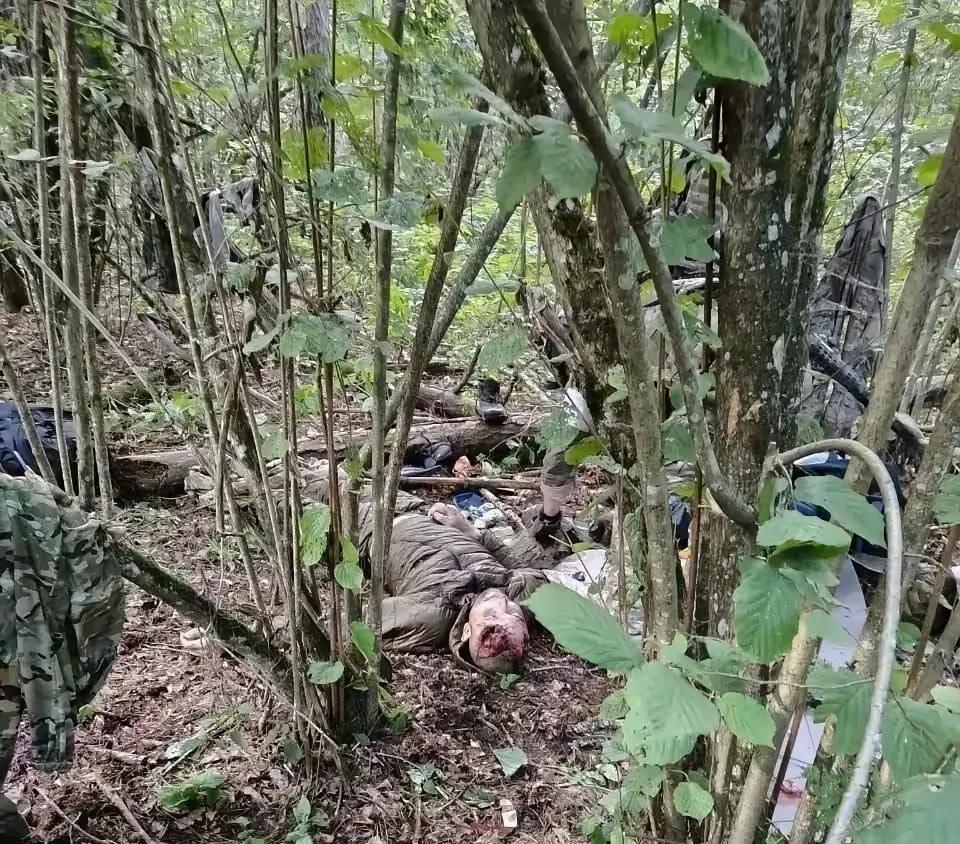 战争的残酷性！在布良斯克发现了大量乌军特种部队士兵的遗体，他们的遗体被随着的丢