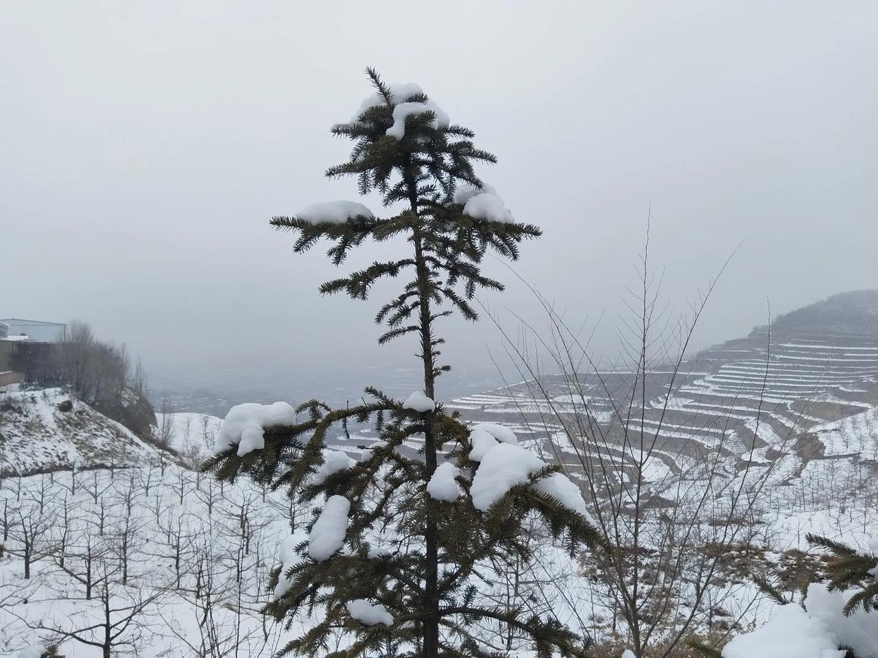 冬日雪景，远山如黛，田野静寂，岁月静好