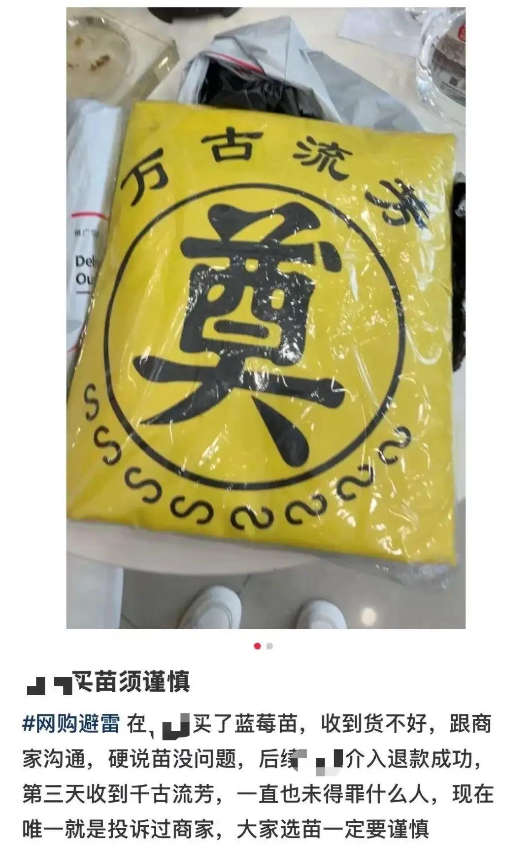 辽宁，女子网购了一株蓝莓苗，收到后觉得不好，就要退货，商家让女子不用折腾了，直接