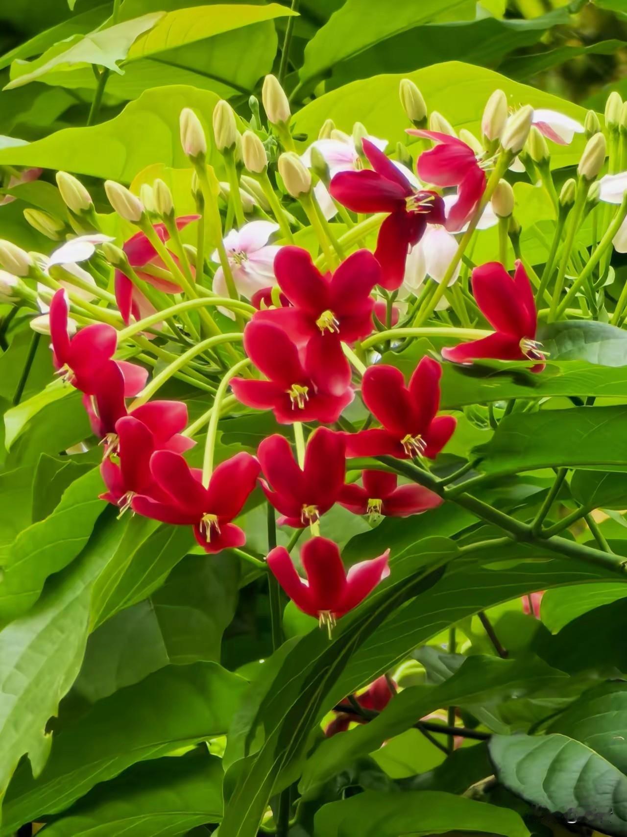 从四季轮回，悟人生短暂1. 春生：少年意气，不必急于求成万物萌芽，生机暗