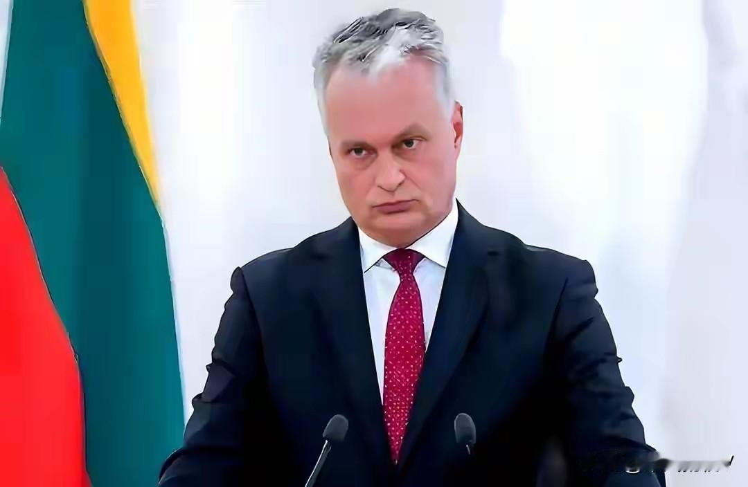 立陶宛不作就不会死！竟然率欧洲7国议员一行8人“窜访”台湾，甚至还制定了一个极其