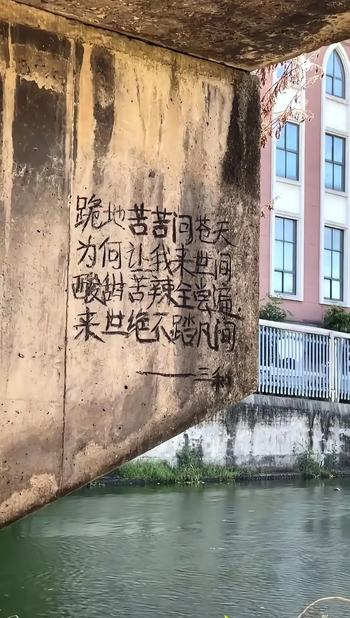 桥下拍到的，谁会在这里写字，这文采太好了把人世间看的通透……